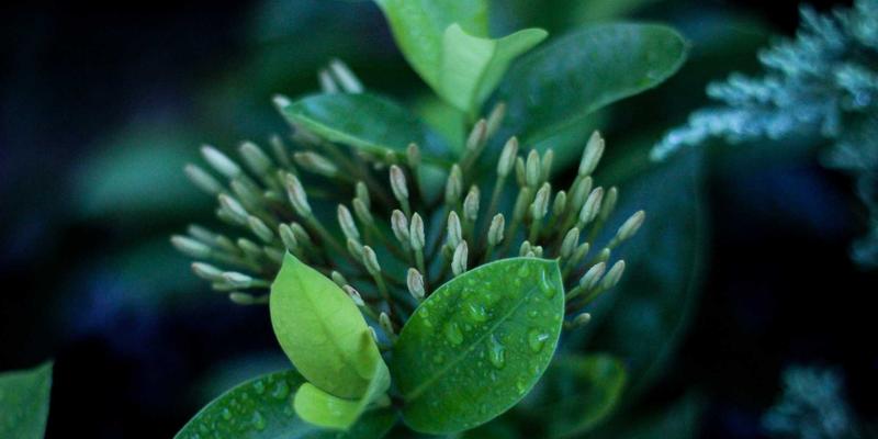 掌握金融理财三大核心优势：科学策略、精准资讯与深度市场分析的财富密码