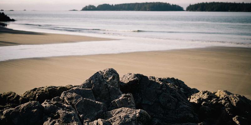 洞察未来财富密码：市场分析揭示理财平台新趋势，一峰宝如何引领变革