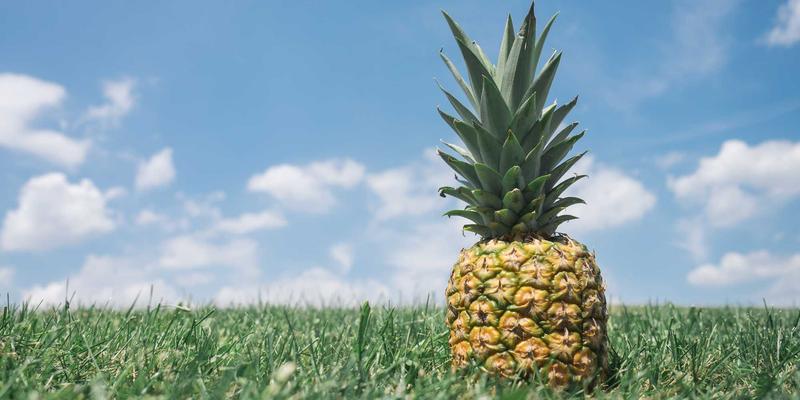 财富管理进阶指南：运用期权策略优化个人投资组合，从保守对冲到增强收益