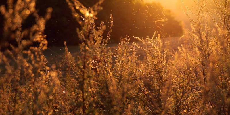 金融理财28：构建稳健投资策略的三大支柱与资讯运用法则