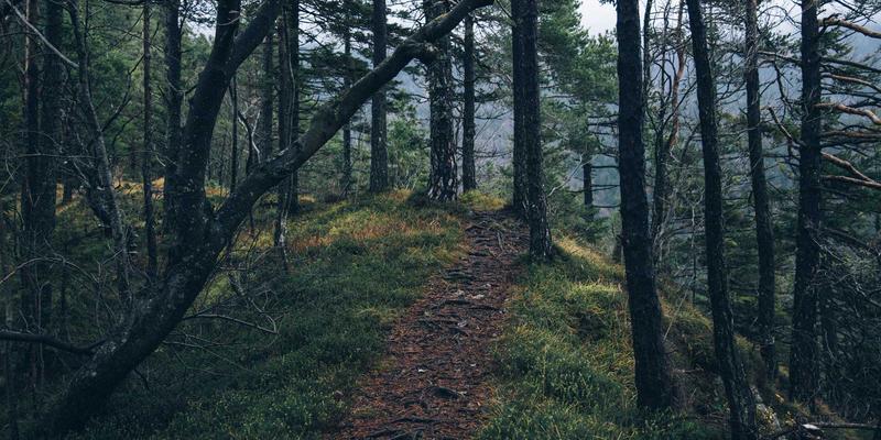 金融理财实战指南：三大核心策略与平台选择技巧