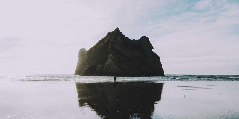 金融理财新视角：解析保险在家庭财富管理中的双重核心作用